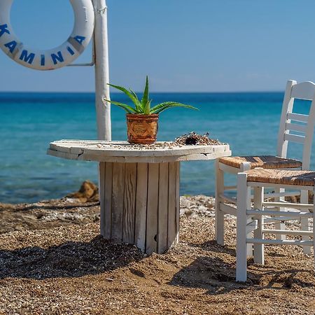 Fiore Beach Studios Vasilikos  Exterior photo